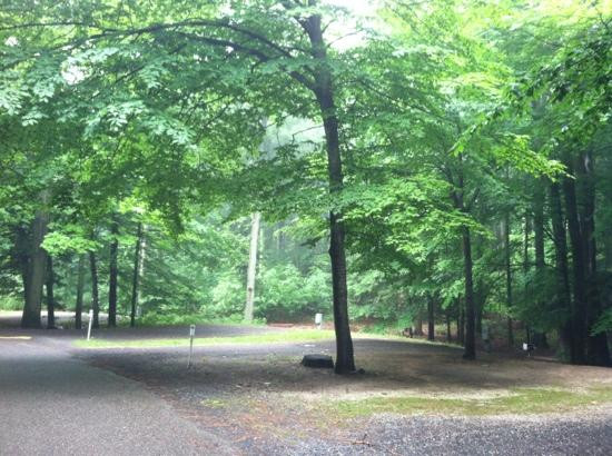 Mason County Campground