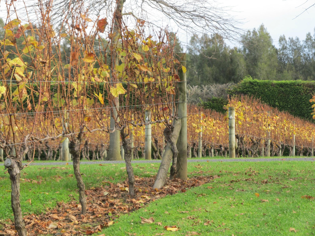 新西兰红酒升级之旅-奥克兰葡萄酒之旅-奥克兰中心地区必去景点