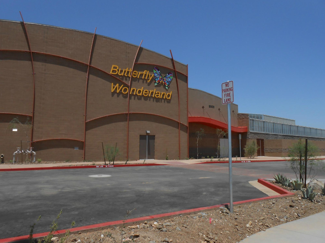 Butterfly Wonderland-斯科茨代尔必去景点