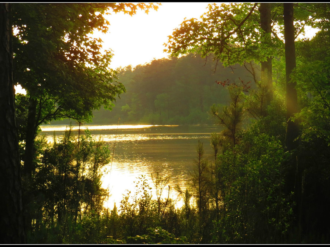 Big Hart Campground