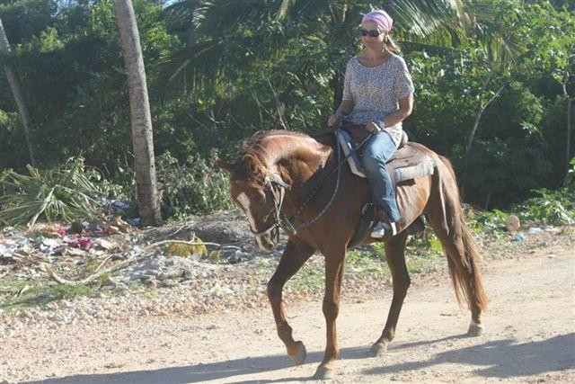 Maisha Mazuri Horse Riding Club-基万嘎必去景点