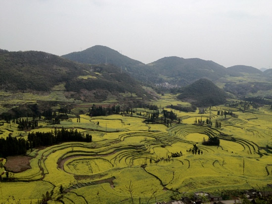 罗平螺丝田-罗平县必去景点