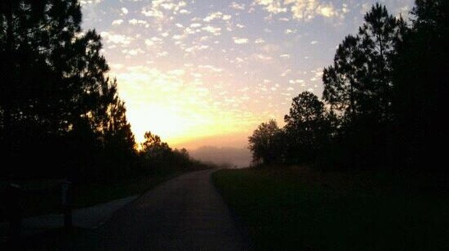Flatwoods Wilderness Park-Thonotosassa必去景点