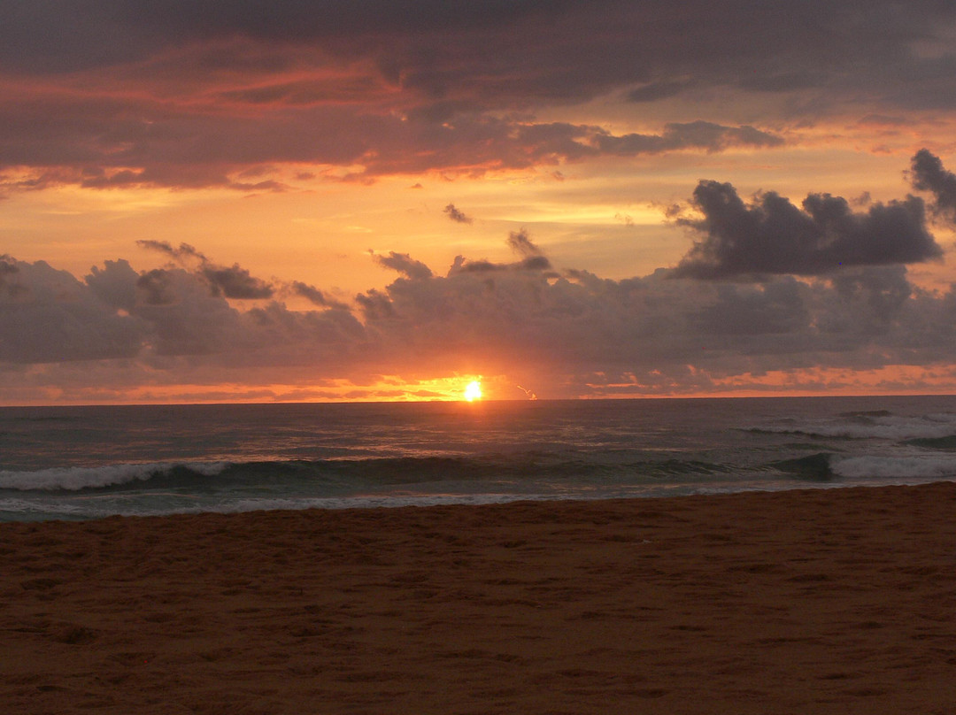 Maputo Special Reserve-马布多必去景点