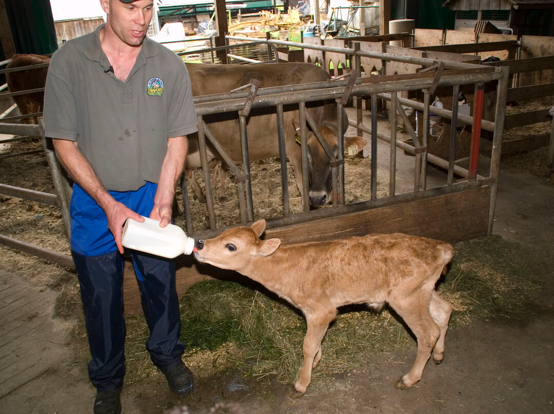Eagle Acres Dairy-Fort Langley必去景点