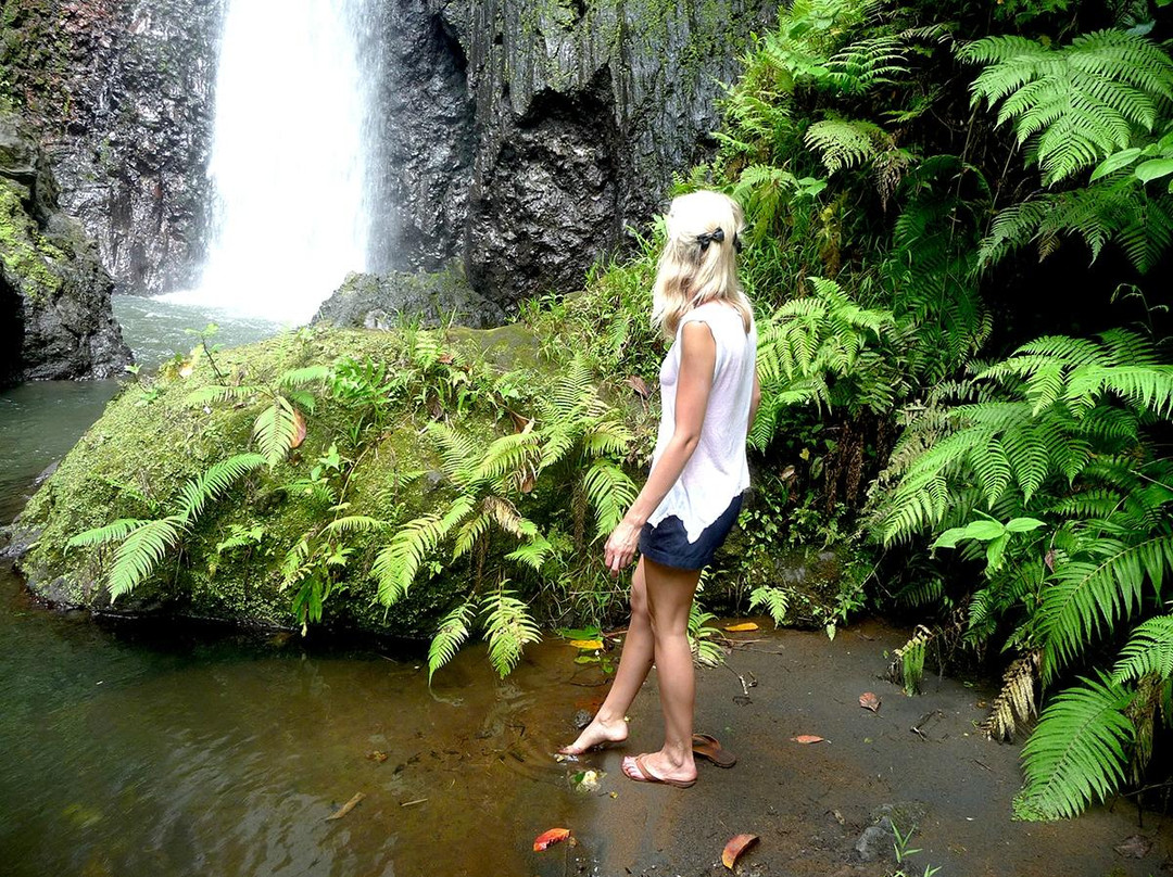 Lenuanatuaiu Waterfall-塔纳岛必去景点