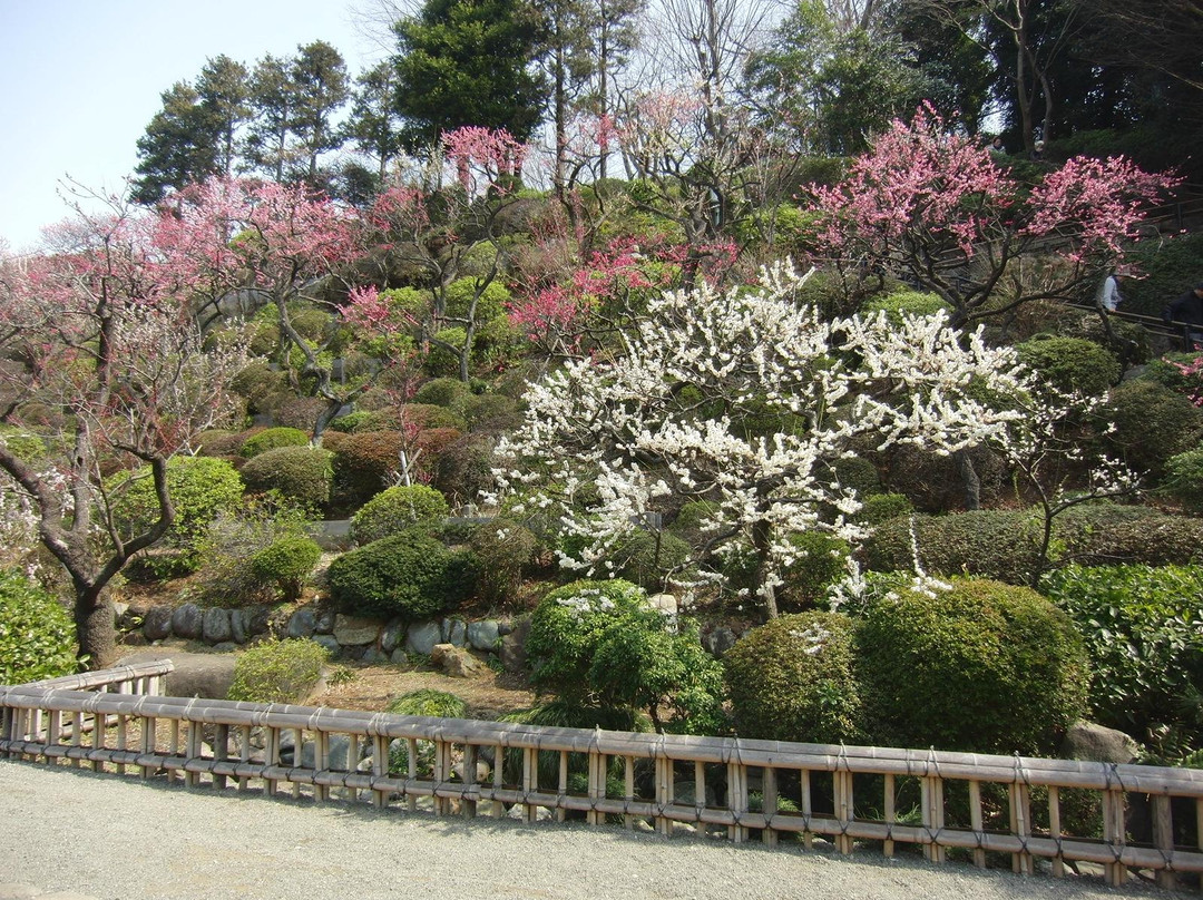 Ikegami Baien-大田区必去景点