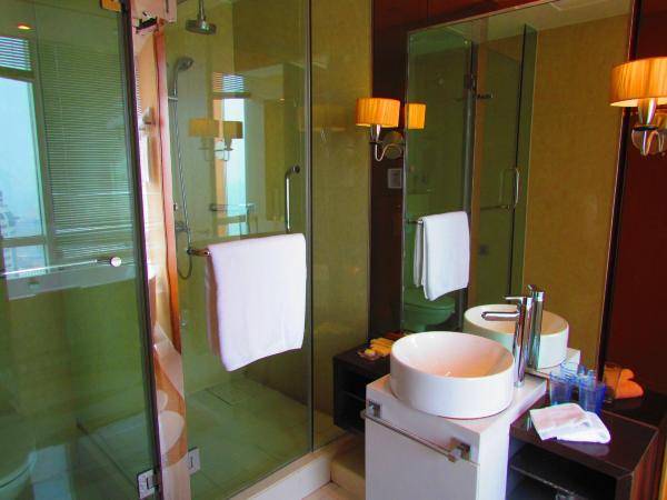 无锡红豆柏雅居酒店公寓-浴室