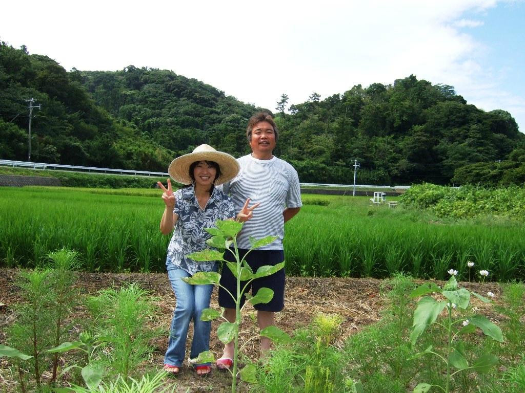 Pension Nojigiku主图