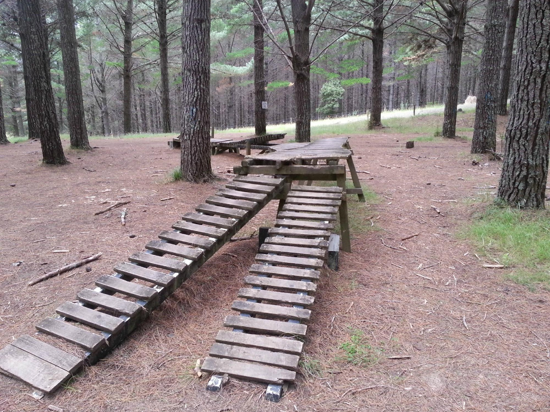 Woodhill Mountain Bike Park景点图片