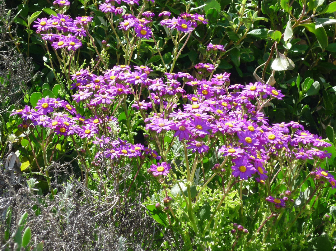 Donnelly River Cruises-彭伯顿必去景点