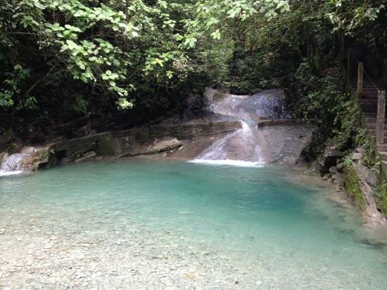 Jardín Escultórico Edward James, Las Pozas-Xilitla必去景点
