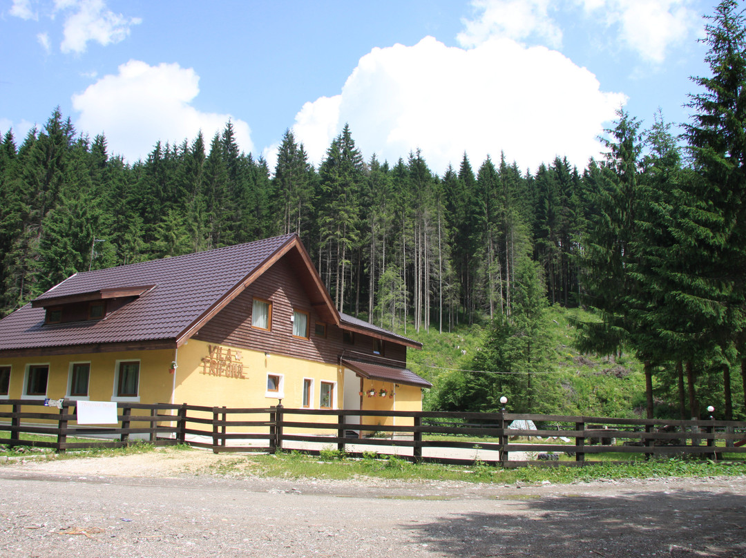 Vila Trifoiul