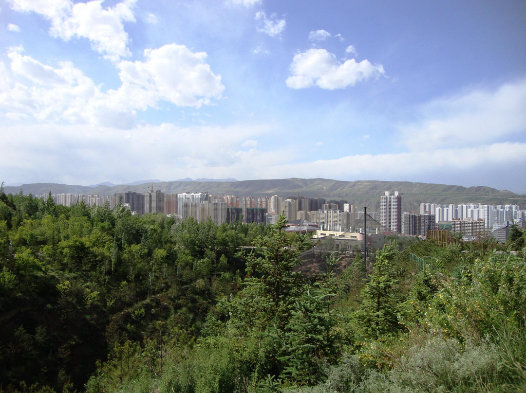 青藏高原野生动物园-西宁市必去景点