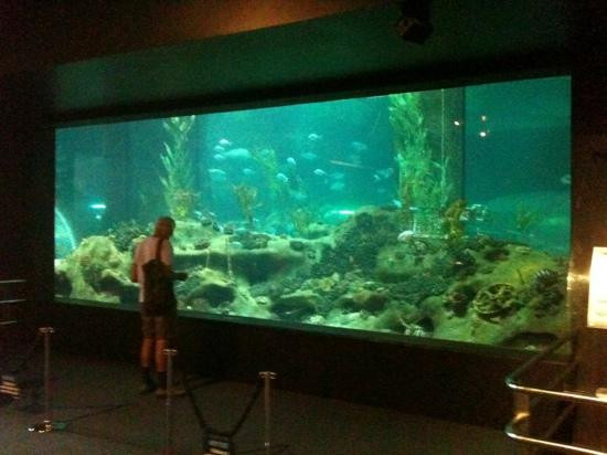 National Aquarium of New Zealand-纳皮尔必去景点