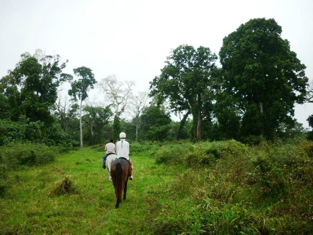 Club Hippique Adventure Park-维拉港必去景点