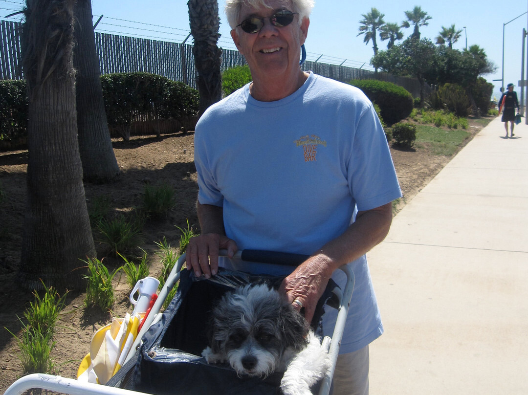 Huntington Dog Beach-亨廷顿海滩必去景点