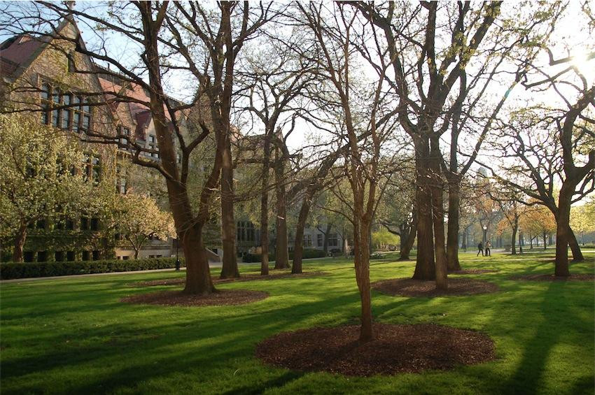 芝加哥大学-芝加哥必去景点