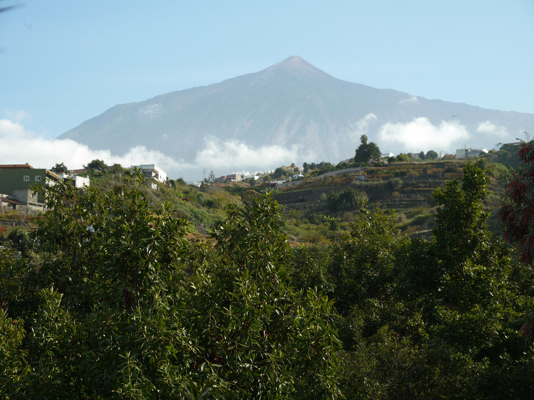 泰德峰火山-特纳里夫必去景点