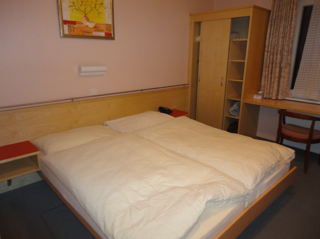 Hotel Hessenguetli主图