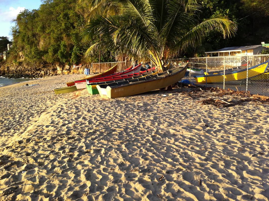 Pardo's Guesthouse主图