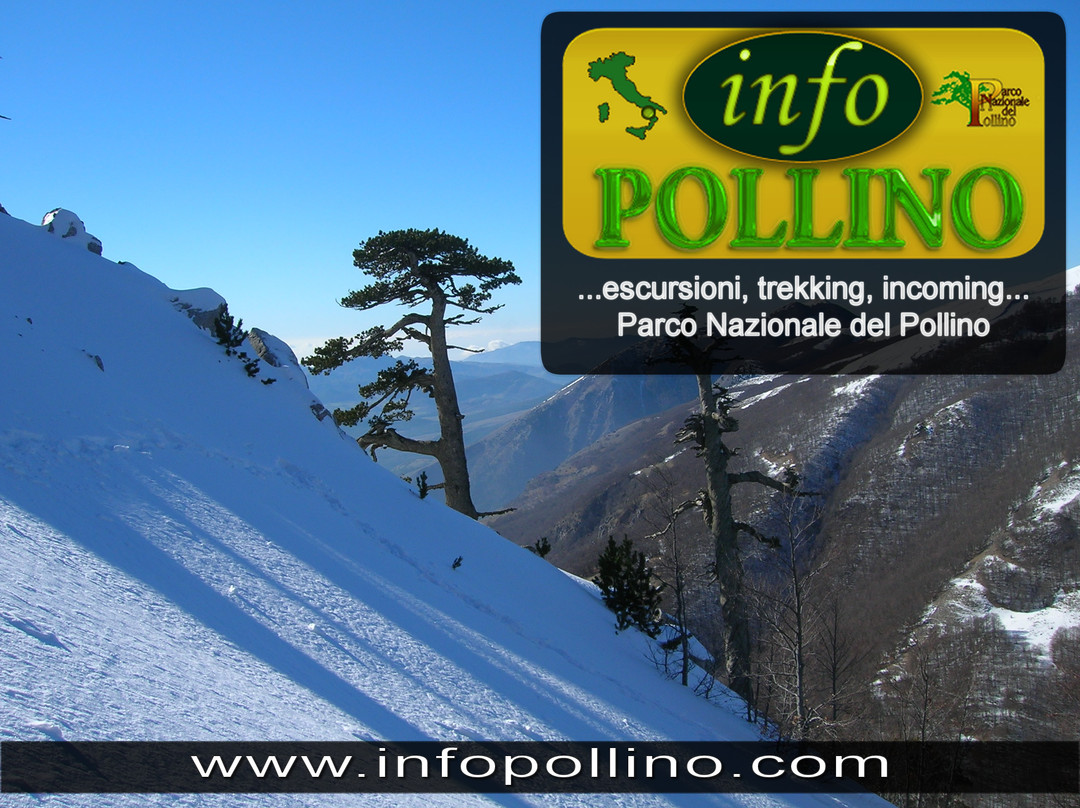 Info Pollino景点图片