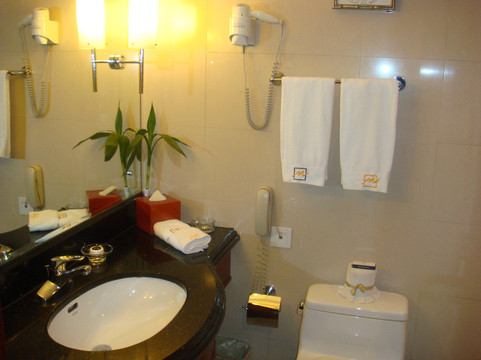 山西万狮京华（维景国际）大酒店主图