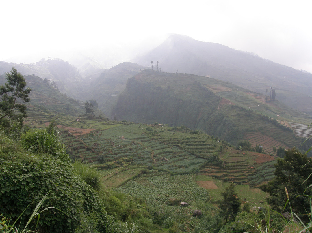 Dieng Volcano景点图片