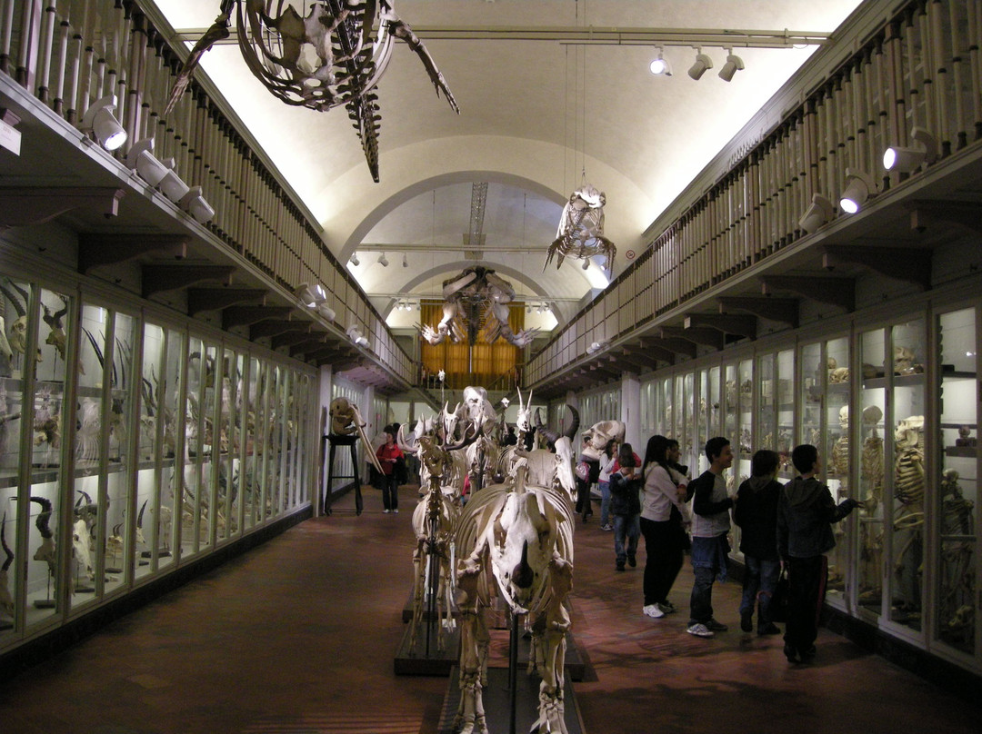 Museo di Storia Naturale - La Specola景点图片