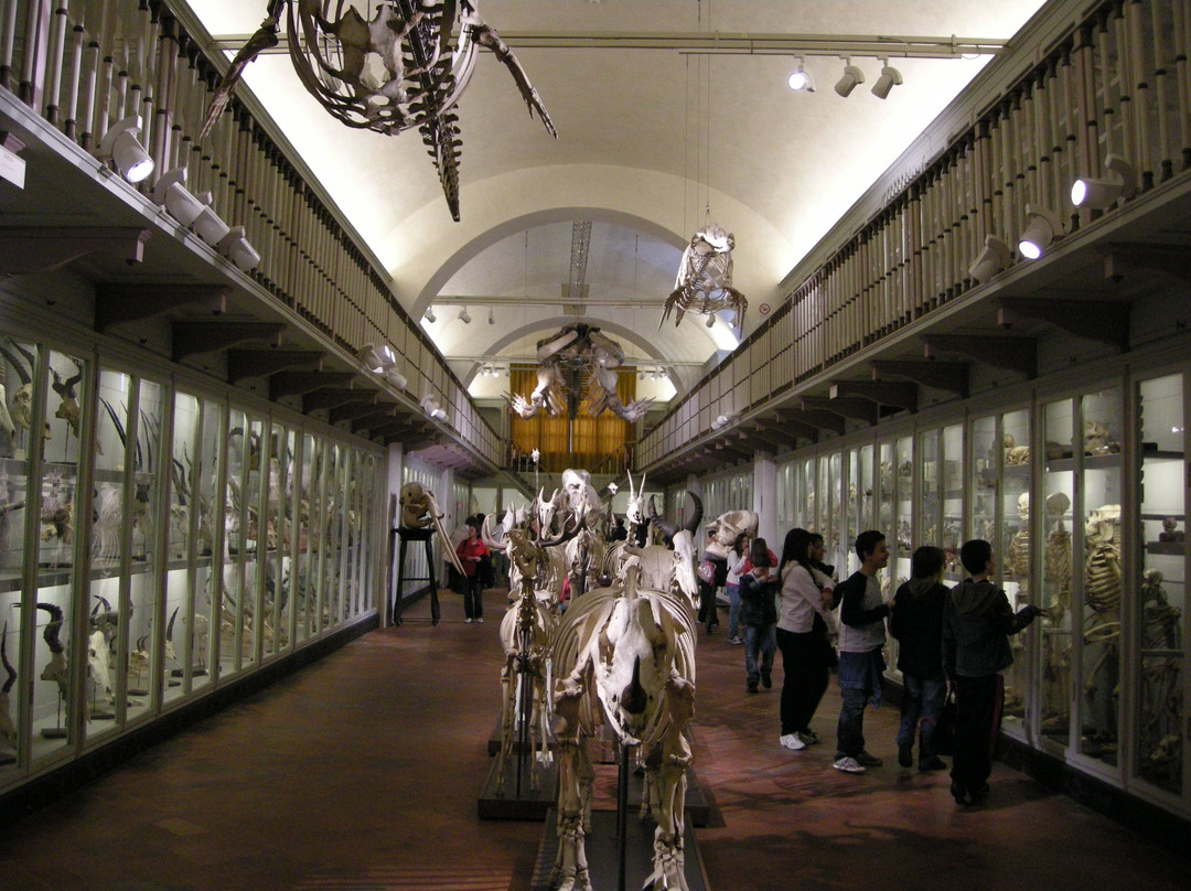 Museo di Storia Naturale - La Specola-佛罗伦萨必去景点