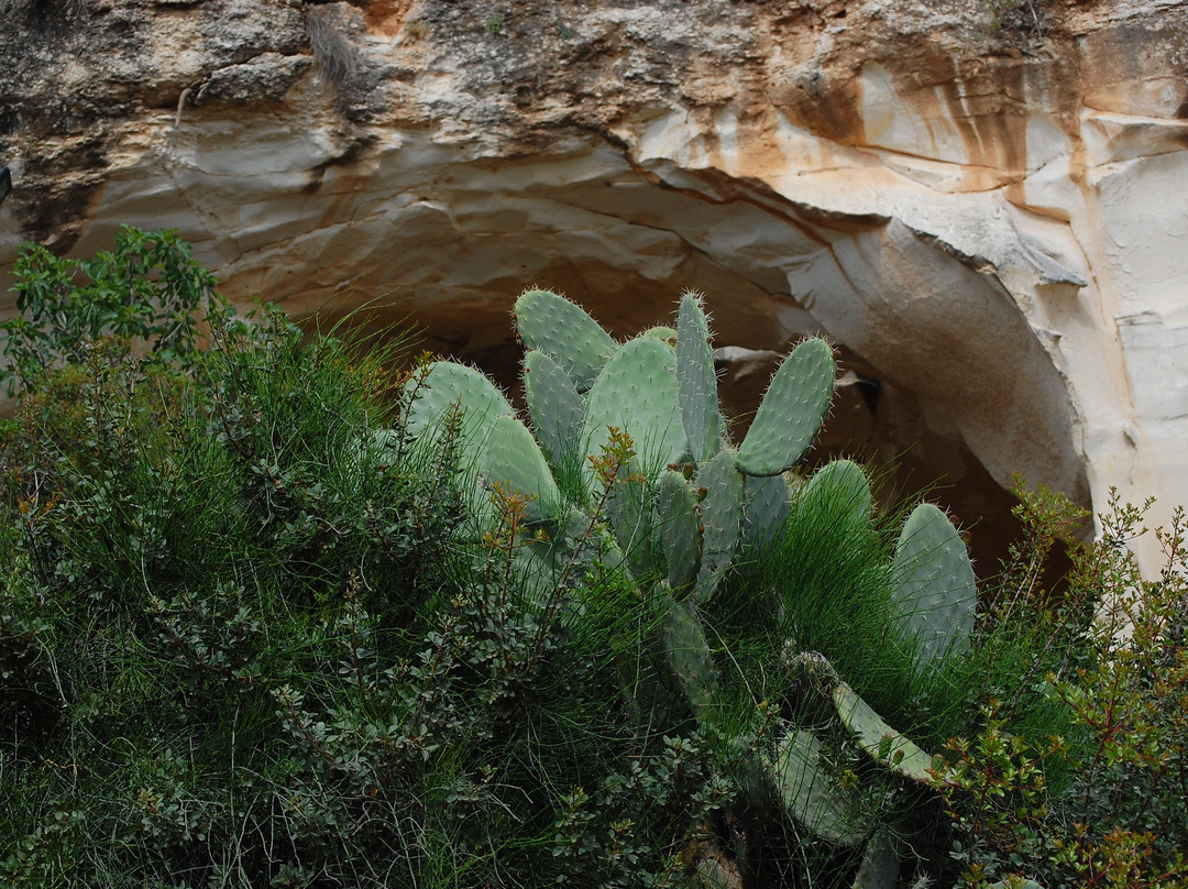 Bet Guvrin-Maresha National Park景点图片