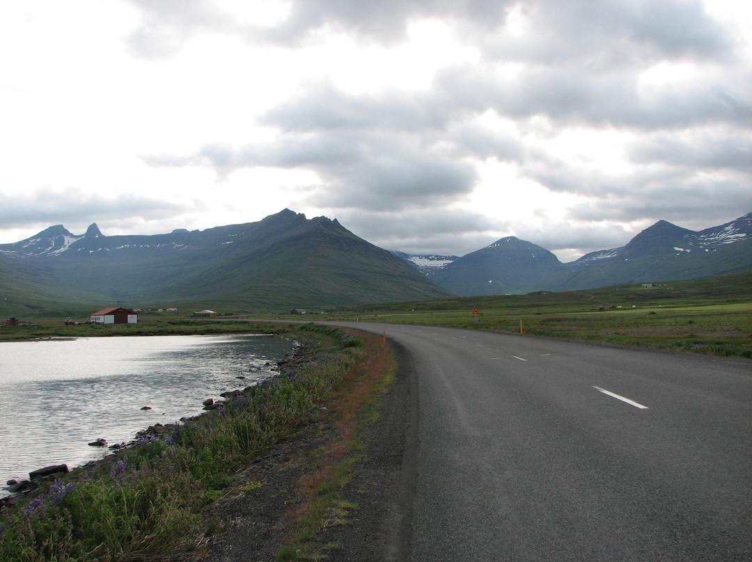 Stodvarfjordur旅游攻略图片