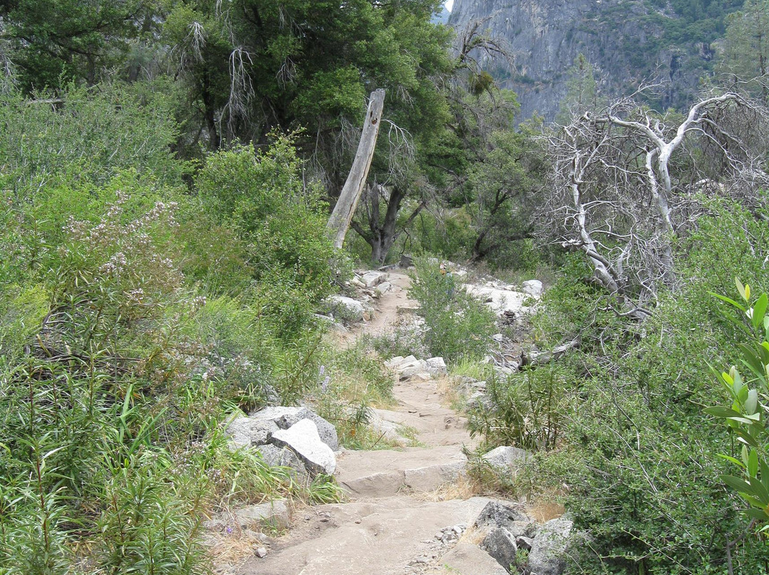 Wapama Falls-优胜美地国家公园必去景点