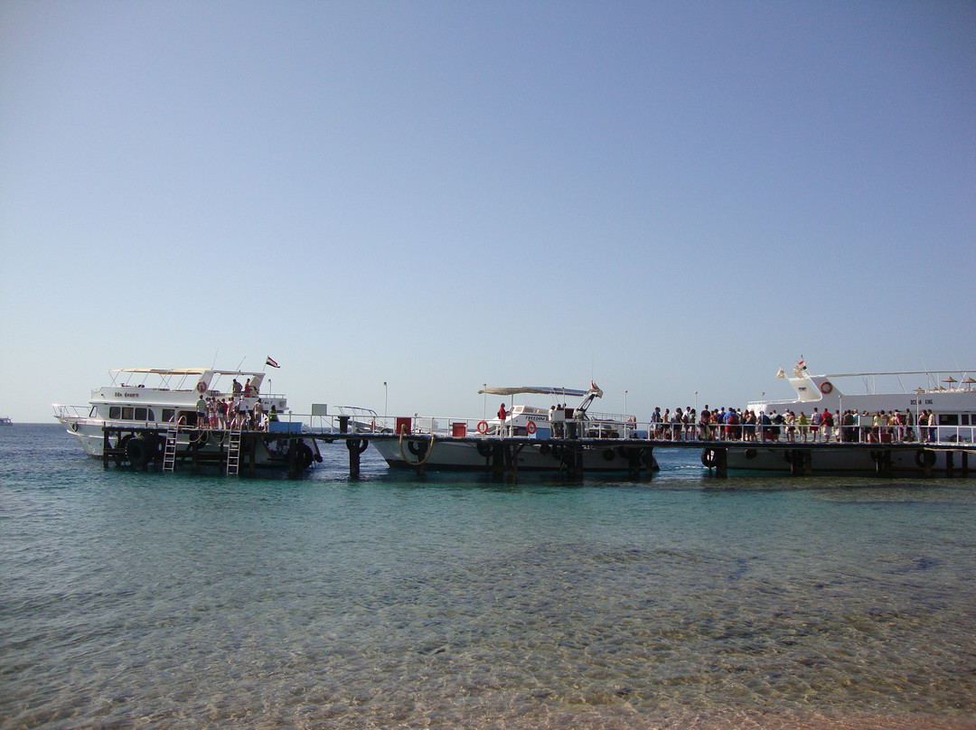 Shark's Bay Beach-沙姆沙伊赫必去景点