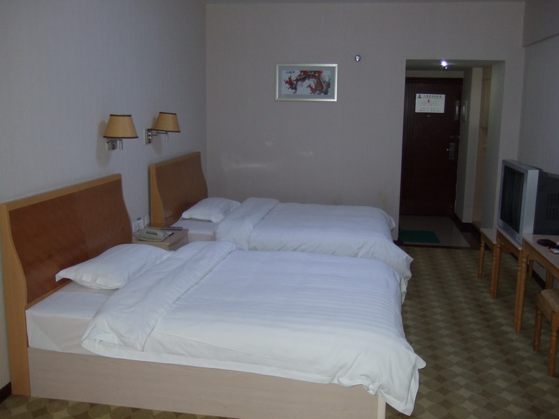 速八发展大厦酒店-客卧