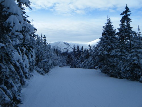 Wildcat Mountain-杰克逊必去景点