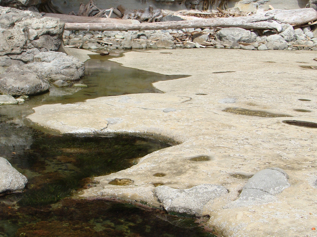 Botanical Beach Provincial Park景点图片