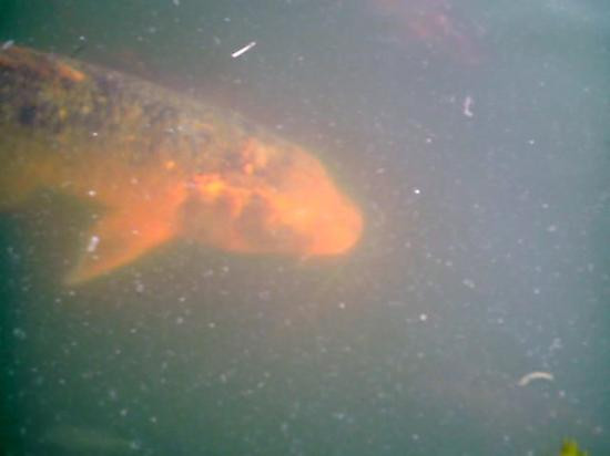 Jardin Botánico Nacional-圣多明哥必去景点