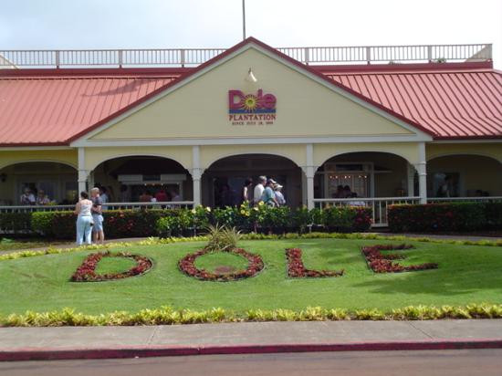 杜尔凤梨园-瓦西瓦必去景点