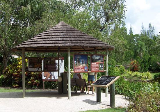 那不勒斯植物园-那不勒斯必去景点