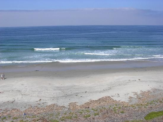 南卡尔斯巴德州立海滩-圣地亚哥必去景点
