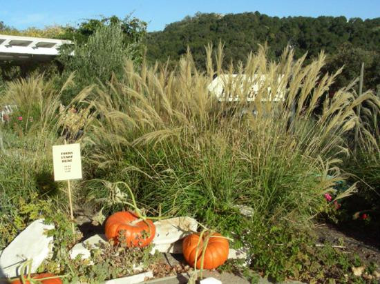Tablas Creek Vineyard景点图片