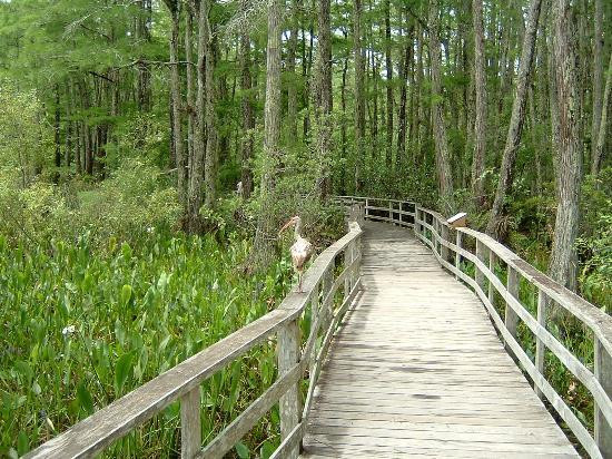 螺旋沼泽鸟兽禁猎区-那不勒斯必去景点