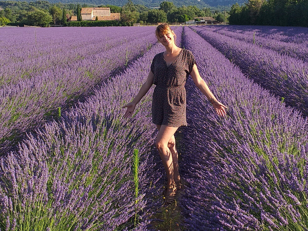 Provence Excursions景点图片