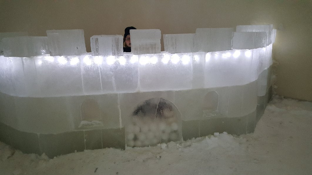 ArcticWildIce