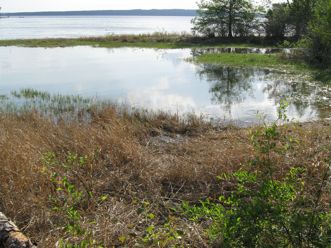 South Toledo Bend State Park景点图片