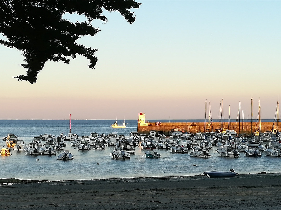 Port Saint-Jacques景点图片