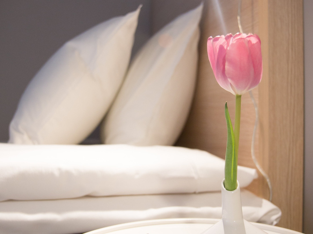 Hotell Aston, Sure Hotel Collection by Best Western主图