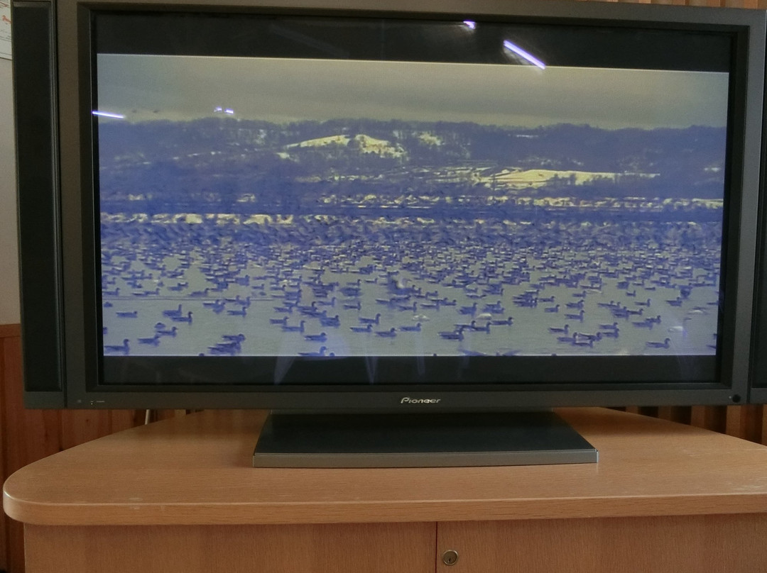 Miyajima Numa Mizutori Shitchi Center-美呗市必去景点