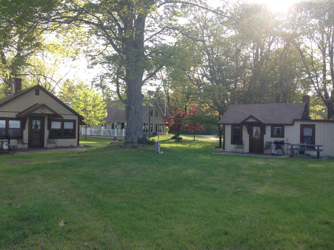 Honey Bear Cabins